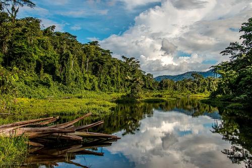 Parque Nacional del Manu