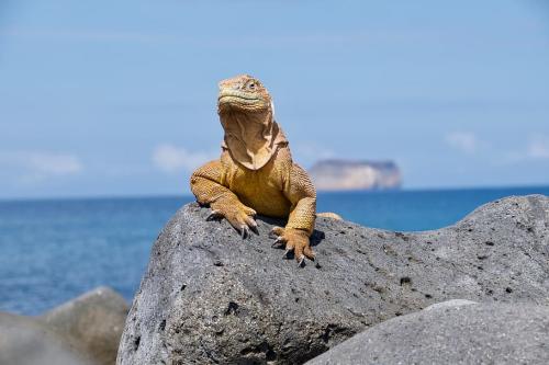 Parque Nacional Galápagos